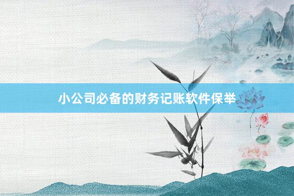 小公司必备的财务记账软件保举
