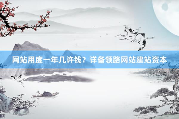 网站用度一年几许钱？详备领路网站建站资本