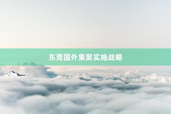 东莞国外集聚实施战略