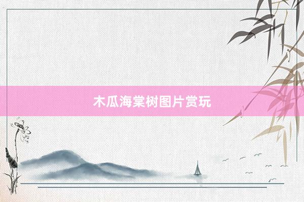 木瓜海棠树图片赏玩