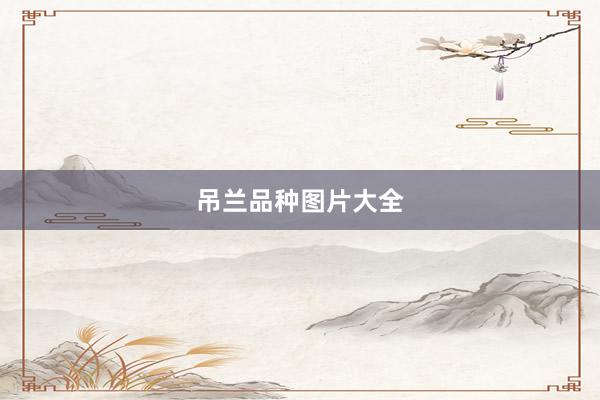 吊兰品种图片大全