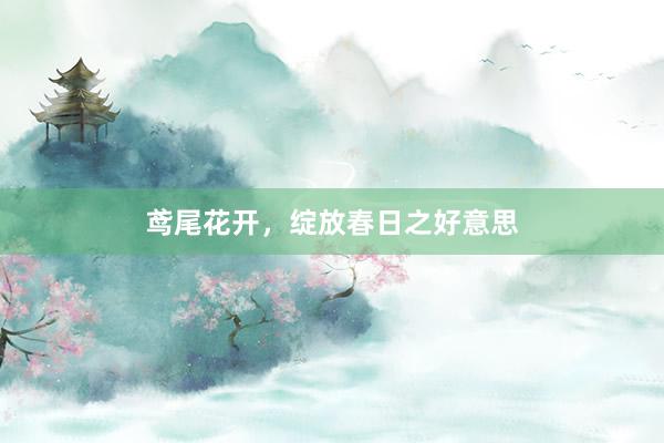鸢尾花开，绽放春日之好意思