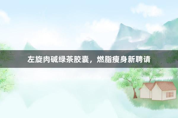 左旋肉碱绿茶胶囊，燃脂瘦身新聘请
